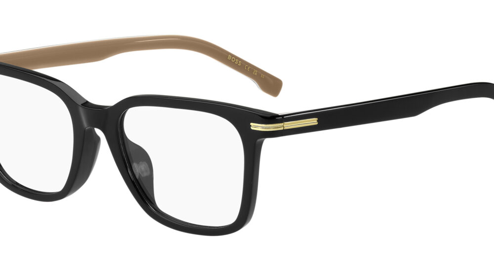 Hugo Boss BOSS 1541/F