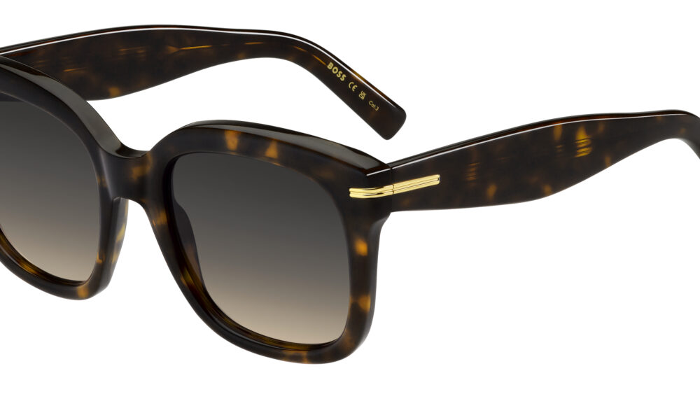 Hugo Boss BOSS 1731/S