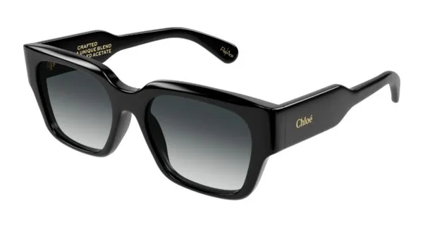 Chloé CH0190S