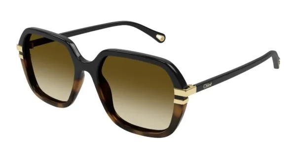 Chloé CH0204S